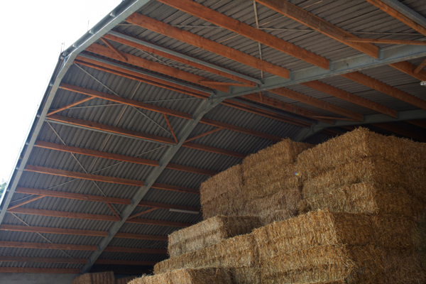 Piggeries stable in Hoeselt
