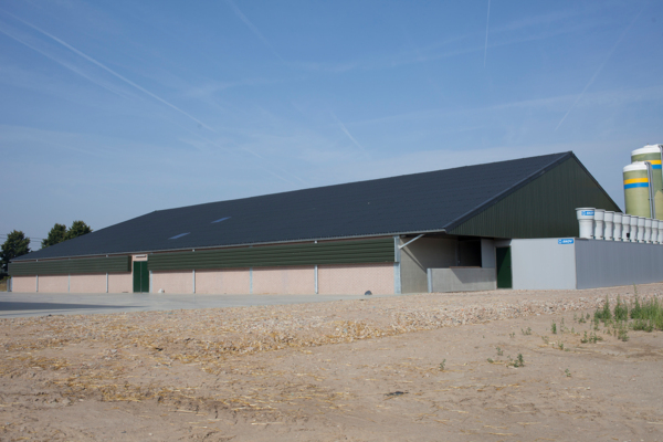 Piggeries stable in Hoeselt