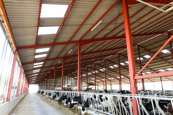 Dairy shed, France