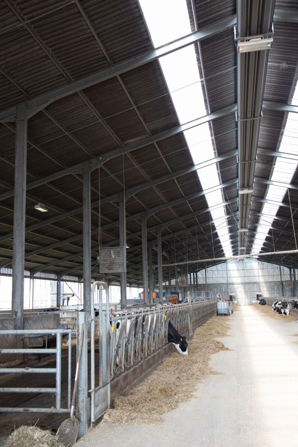 Dairy shed, France