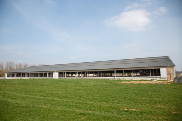Dairy shed, France