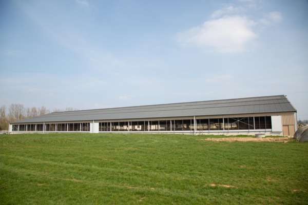 Dairy shed, France