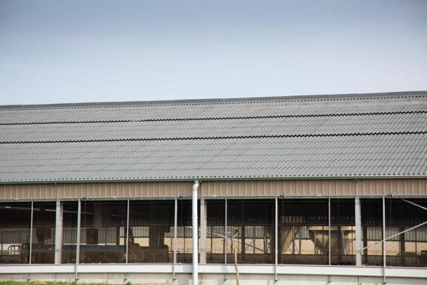 Dairy shed, France