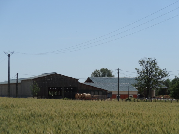 Dairy shed, France