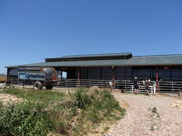 Dairy shed, France