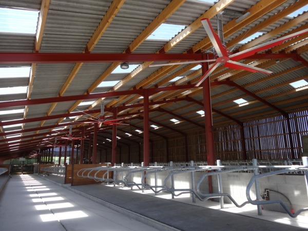 Dairy shed, France