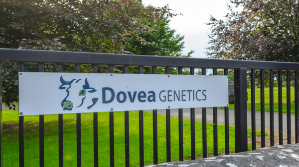 Dovea Genetics