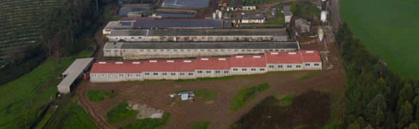 Pecuária Agro Espido