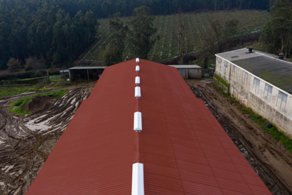Pecuária Agro Espido