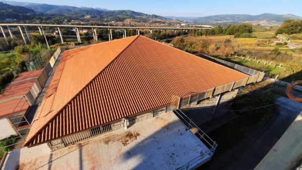 IES Ribeiro