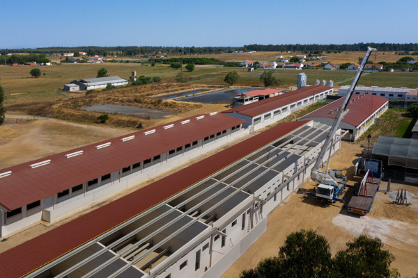Suinicultura Valorgado Aldeia Nova de Aroeira