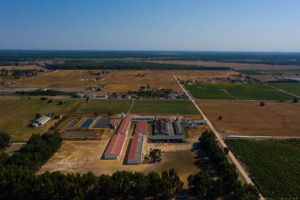 Suinicultura Valorgado Aldeia Nova de Aroeira