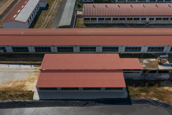Suinicultura Valorgado Aldeia Nova de Aroeira