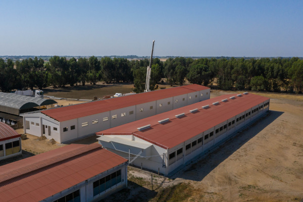 Suinicultura Valorgado Aldeia Nova de Aroeira