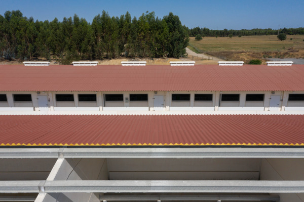 Suinicultura Valorgado Aldeia Nova de Aroeira