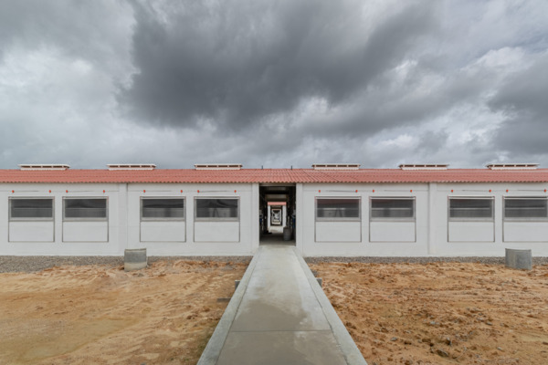 Suinicultura Porval Agropecuária