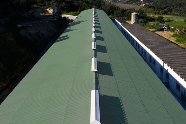 Suinicultura Quinta do Pinheiro