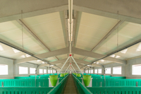 Suinicultura Porval Agropecuária