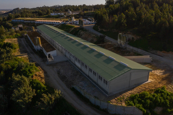 Suinicultura Quinta do Pinheiro