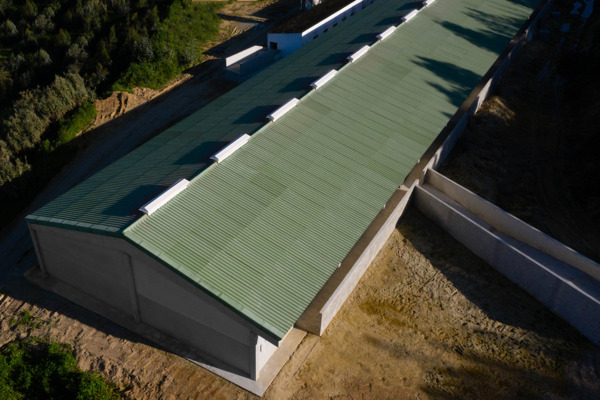 Suinicultura Quinta do Pinheiro