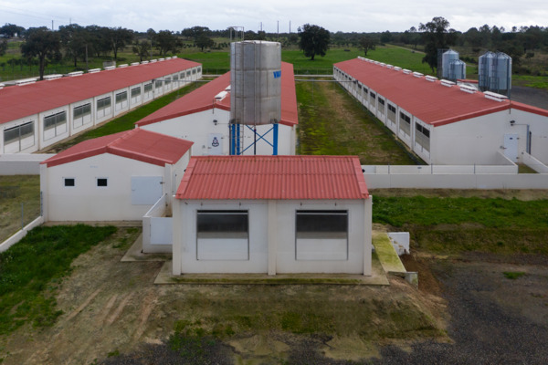 Suinicultura Valorgado