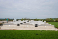 Killeagh Piggery
