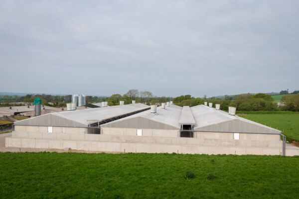 Killeagh Piggery