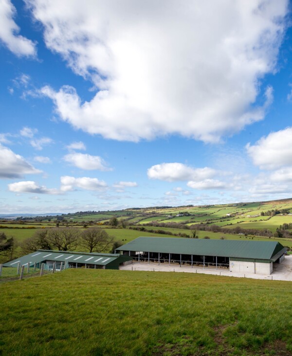 Glen South Farm