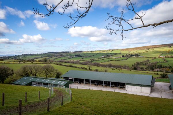 Glen South Farm