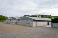 Killeagh Piggery
