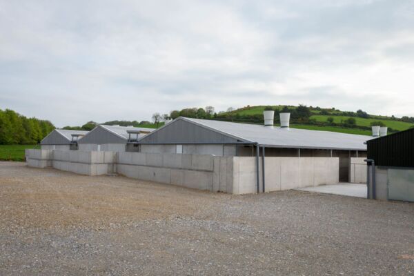 Killeagh Piggery
