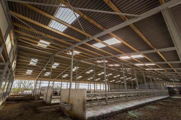 Monkstown Farm