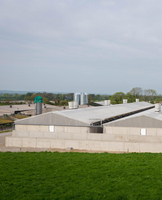 Killeagh Piggery