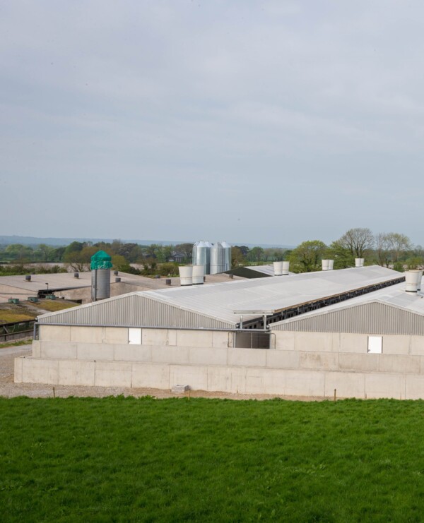 Killeagh Piggery