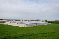 Killeagh Piggery