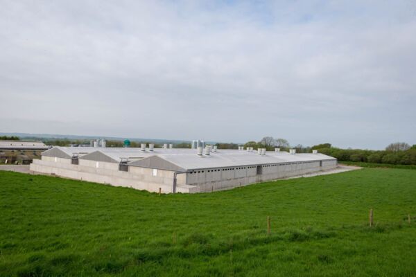 Killeagh Piggery