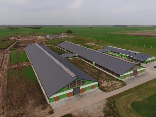 Dairy and cattle stable in Pakruojis