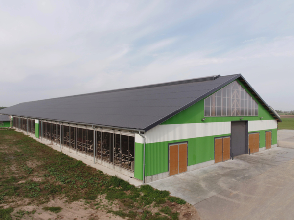 Dairy and cattle stable in Pakruojis