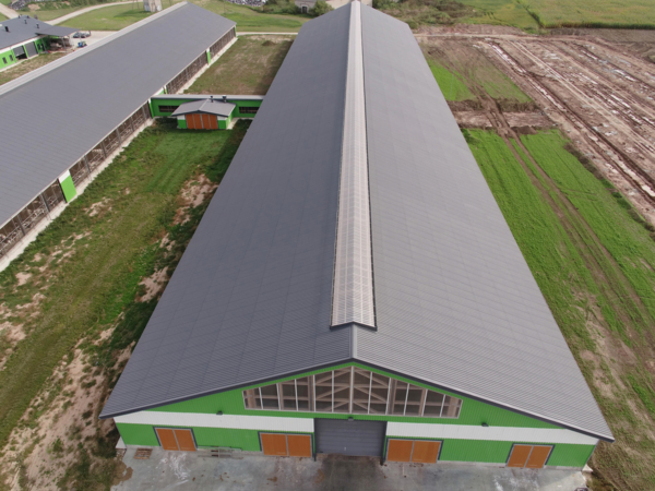 Dairy and cattle stable in Pakruojis